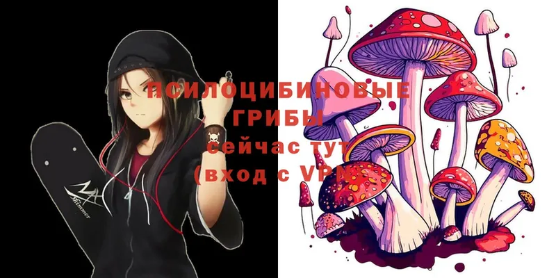 hydra ONION  Сертолово  Галлюциногенные грибы MAGIC MUSHROOMS  закладка 